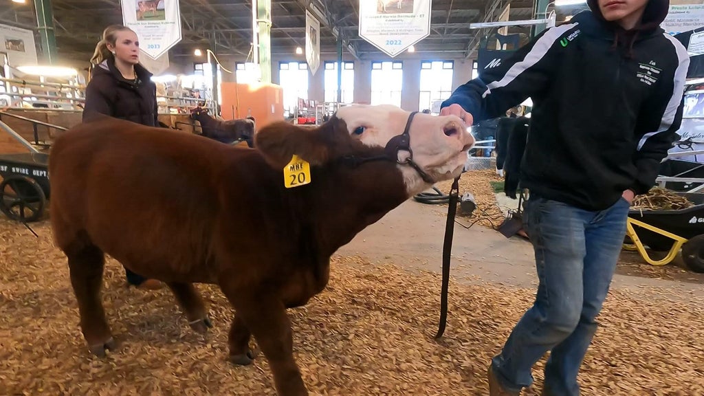 Spotlight on beef as Minnesota midterms near — WCCO / CBS Minnesota, New Hope Community news