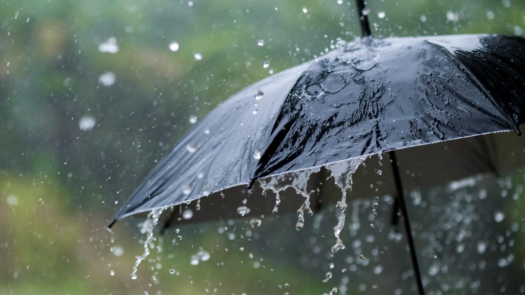 Widespread rain in Minnesota Monday; milder air returns Tuesday — WCCO / CBS Minnesota, New Hope Community news