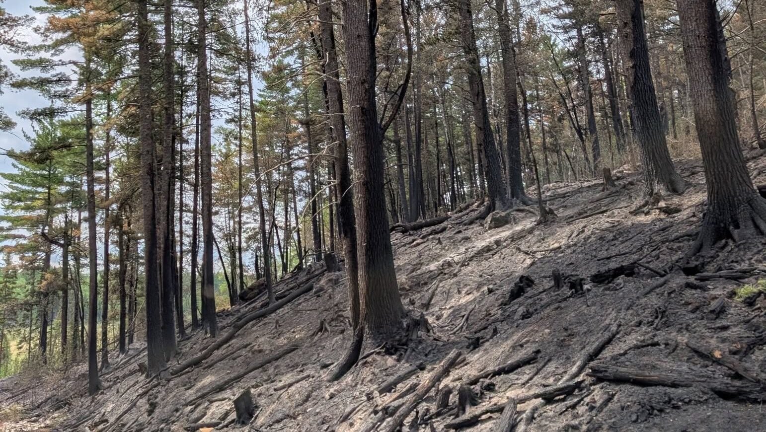 74-year-old who became separated from his family on a trail in Ely was discovered dead — KSTP 5, New Hope Community news