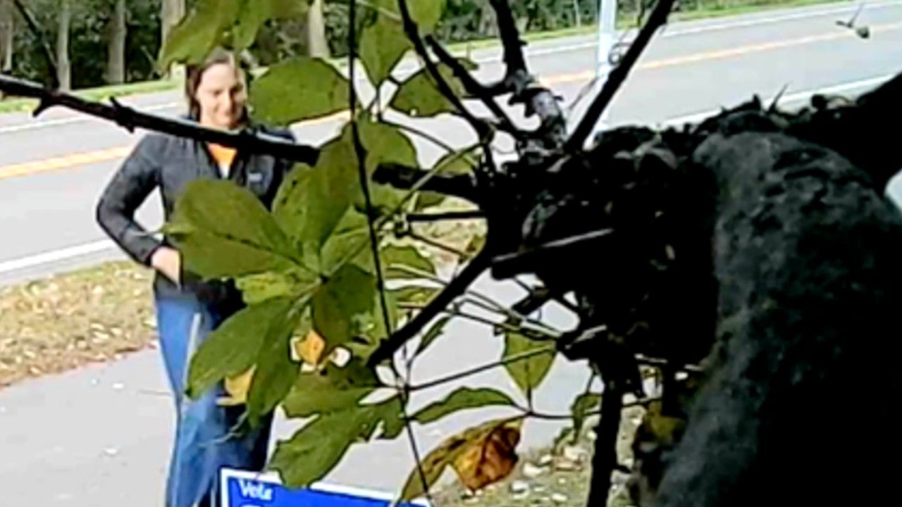 Video: Vadnais Heights council member removes mayoral candidate’s campaign sign, tosses it aside — KSTP 5, New Hope Real Estate news