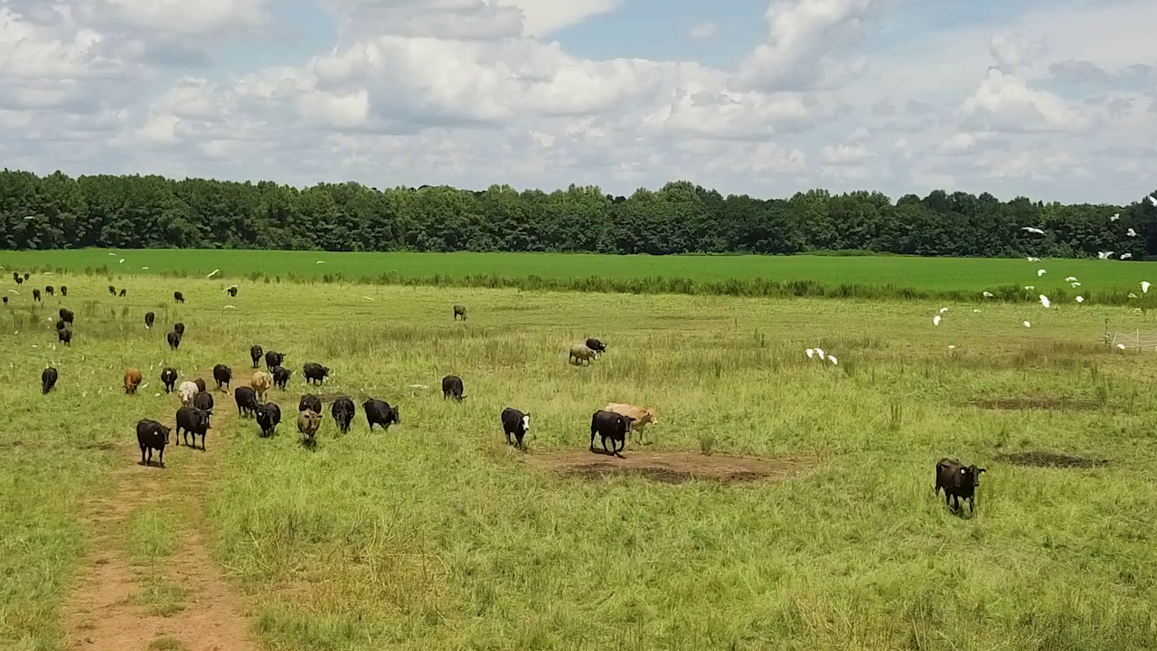 5 ON YOUR SIDE: Regenerative agriculture — New Hope Health news