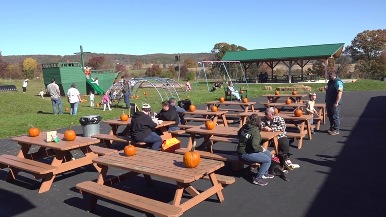 Outdoor festival in Columbia County brings together artists and businesses to connect with the community — WNEP 16 (Scranton/Wilkes-Barre), New Hope Arts news