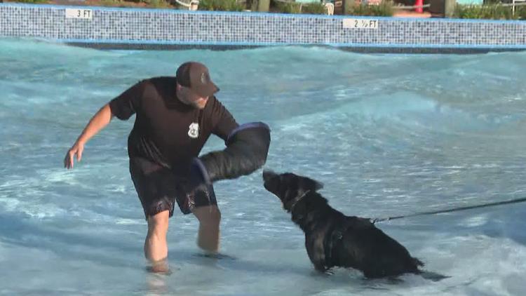 Tampa police K-9s train at theme park to prepare for emergencies — WTSP 10 Tampa Bay, New Hope Community news