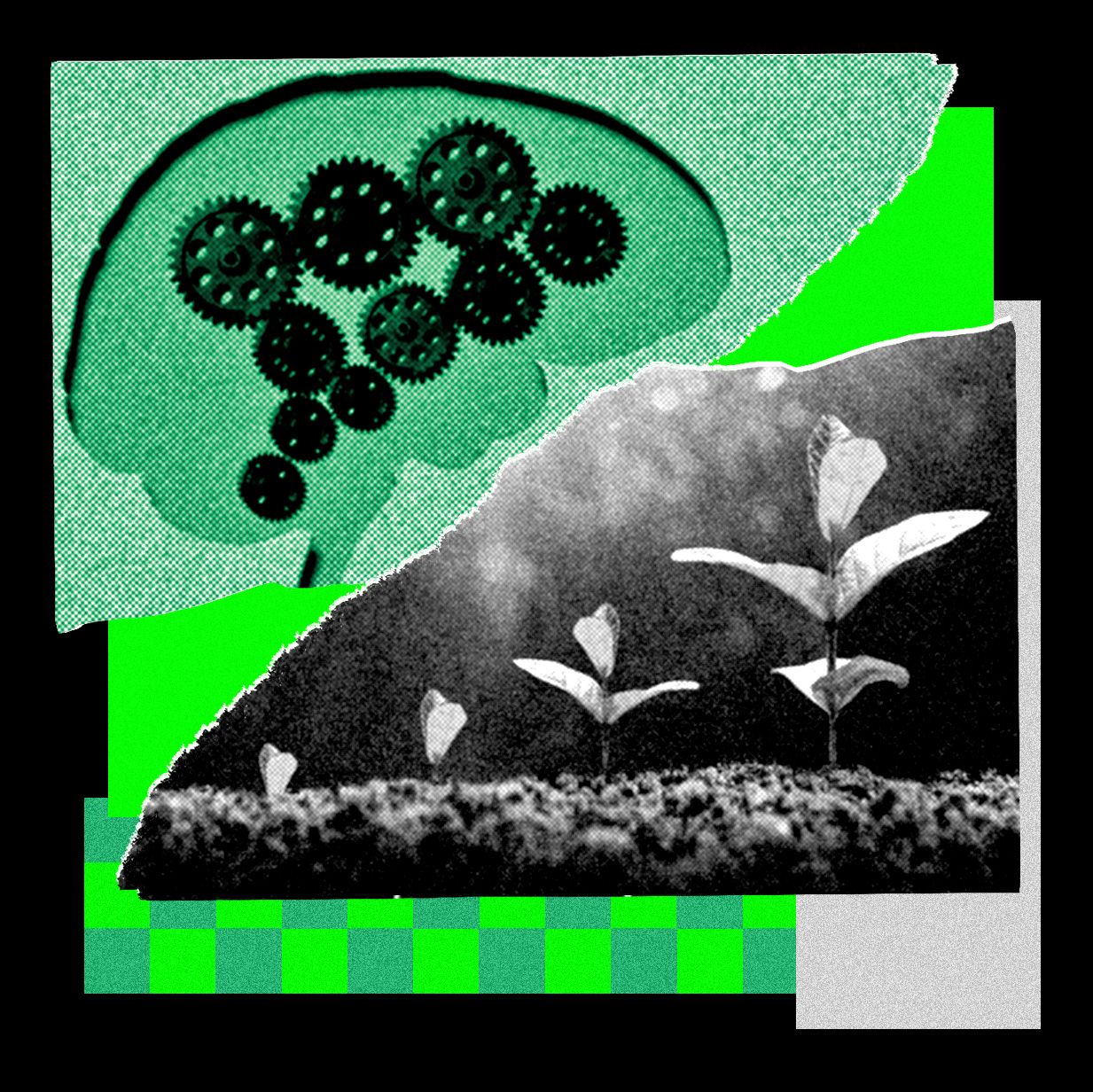This Startup Is All In on Recursive Self-Improvement. Its Latest Model Is Scary Good — Wired, New Hope Technology news