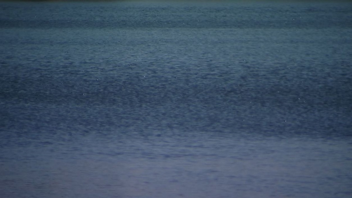 Body of missing Spicer woman recovered from Kandiyohi County lake — FOX 9, New Hope Community news