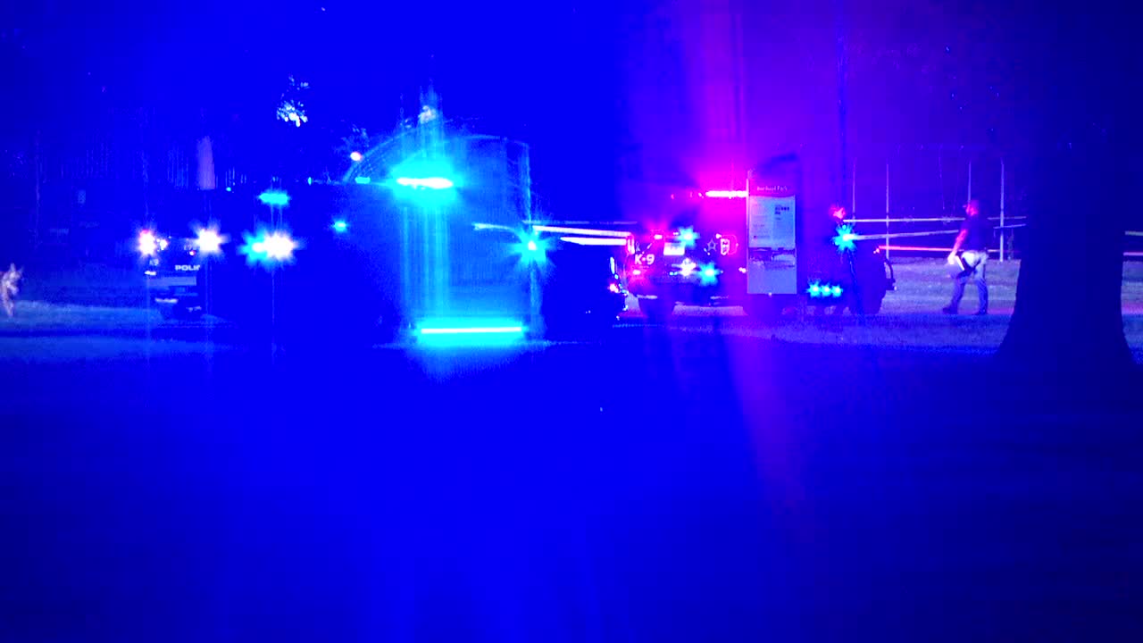Brooklyn Park teen shooting suspect ordered to stand trial as adult — FOX 9, New Hope Community news