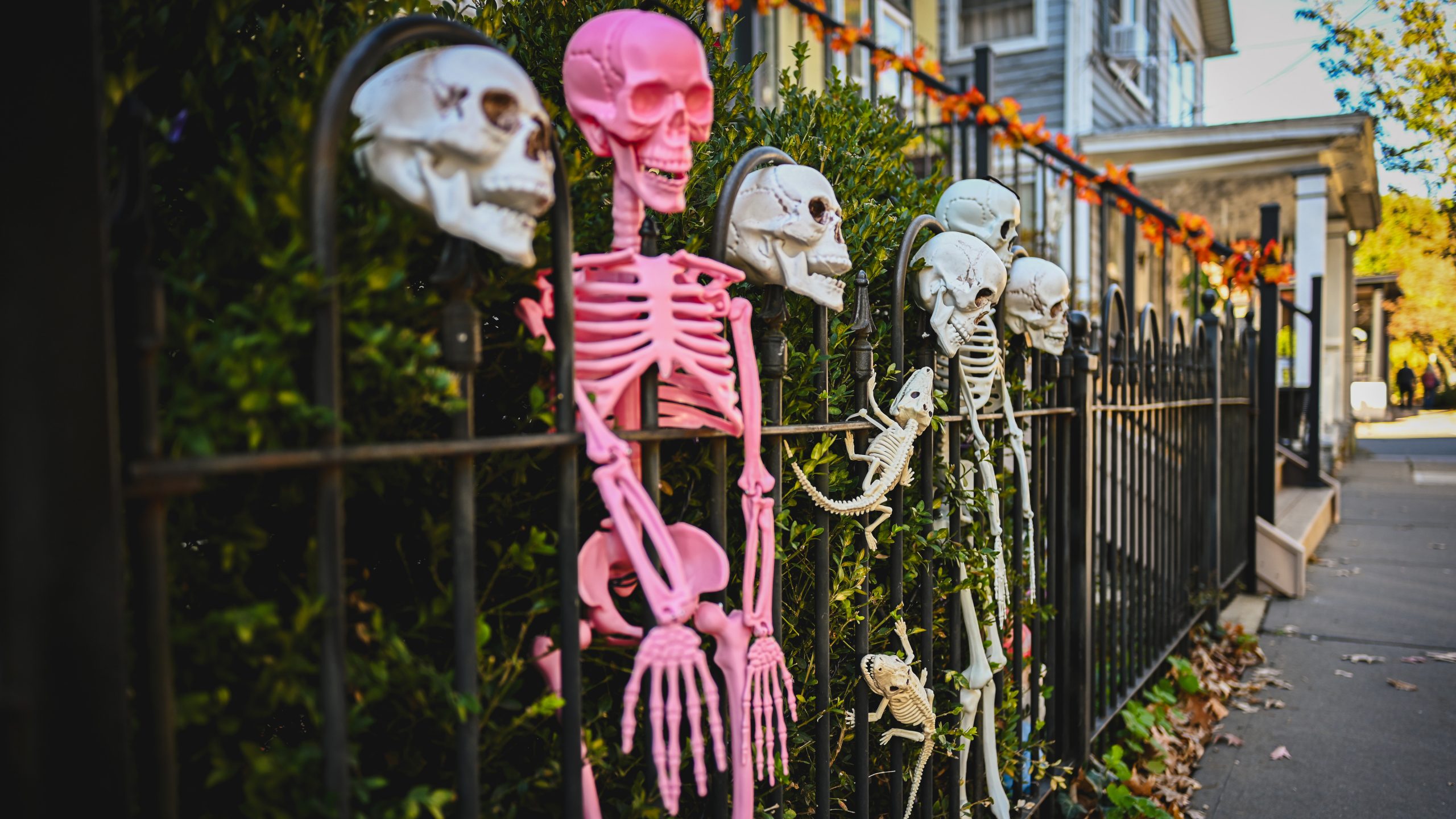 America's best cities for Halloween, ranked — FOX 9, New Hope Community news