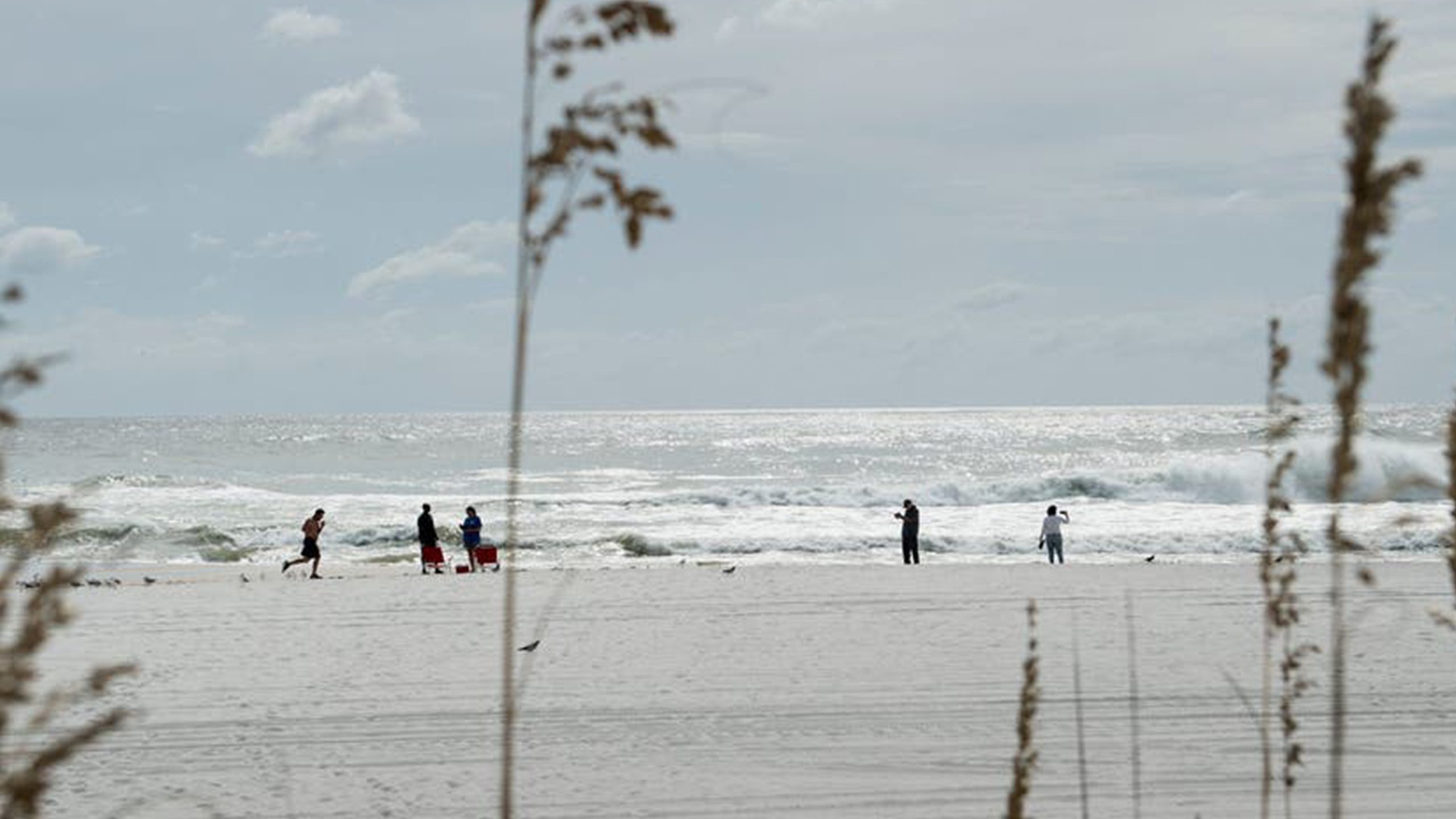 Father of 2 drowns after being caught in current trying to rescue seagull caught in fishing line — New Hope Community news